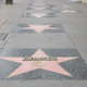 Illustration for article titled Indecline Founder Speaks Out About Viral ‘Black Lives Matter’ Hollywood Walk of Fame Video